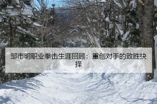 zou-shi-ming-zhi-ye-quan-ji-sheng-ya-hui-gu-zhong-chuang-dui-shou-de-zhi-sheng-jue-ze-3-556.jpg