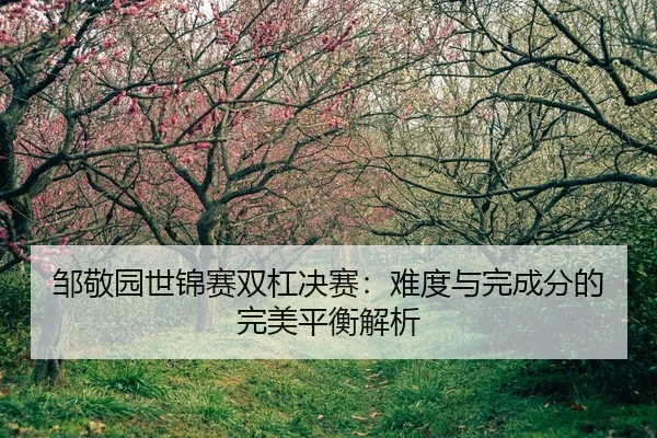 zou-jing-yuan-shi-jin-sai-shuang-gang-jue-sai-nan-du-yu-wan-cheng-fen-de-wan-mei-ping-heng-jie-xi-2-277.jpg