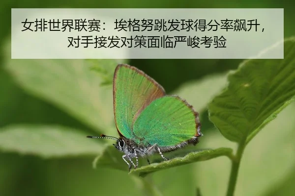 nv-pai-shi-jie-lian-sai-ai-ge-nu-tiao-fa-qiu-de-fen-lv-biao-sheng-dui-shou-jie-fa-dui-ce-mian-lin-yan-jun-kao-yan-3-835.jpg