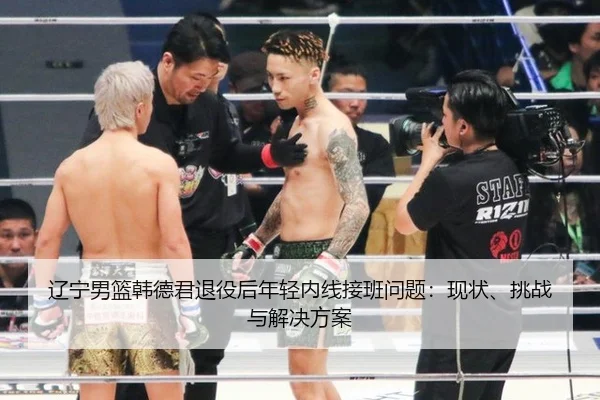 辽宁男篮韩德君退役后年轻内线接班问题：现状、挑战与解决方案
