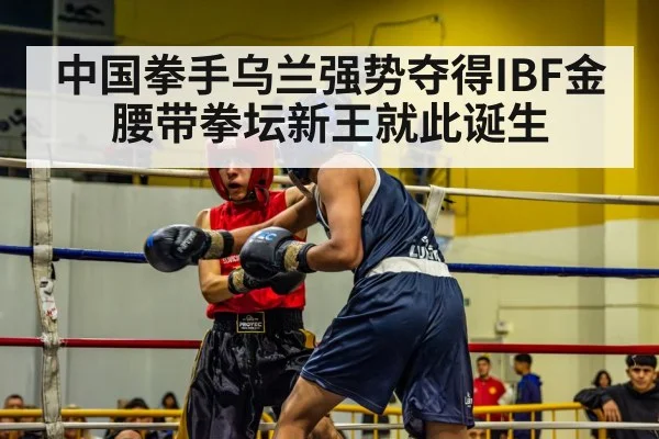 boxing match action punch