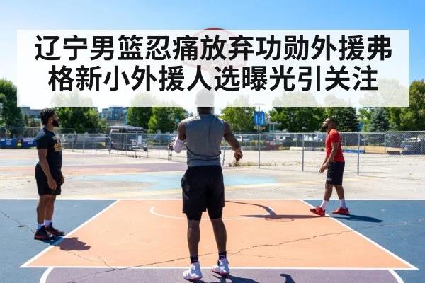辽宁男篮忍痛放弃功勋外援弗格新小外援人选曝光引关注