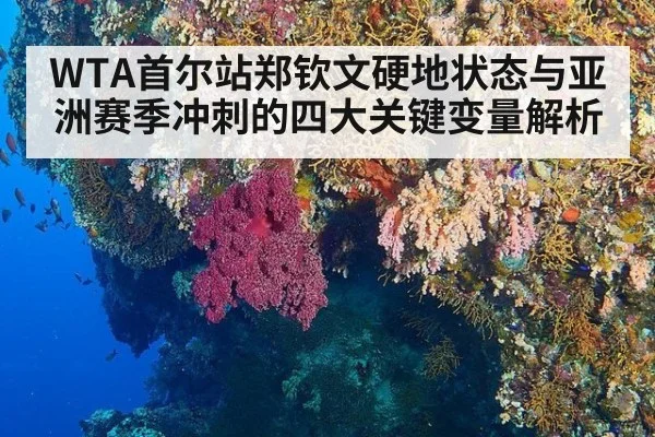 WTA首尔站郑钦文硬地状态与亚洲赛季冲刺的四大关键变量解析